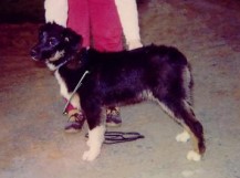 Carolinas Moonstruck 1