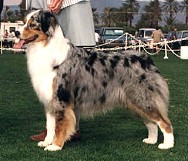 Heartfire in the Summertime