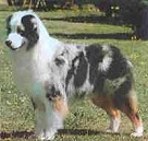 Patriot Games of Ironhorse