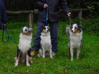 TREFFENSCOUTKIRAROBBY