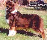 Touchstone Sweet Ms Beahavin