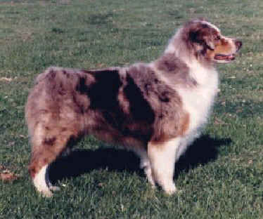 WALasRocosaBonnyKyle[1]