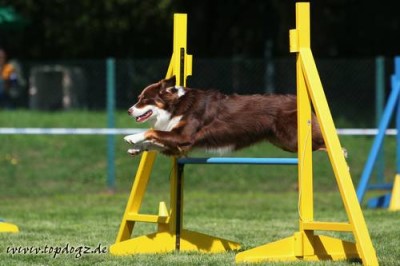 katharina_funck_huerde