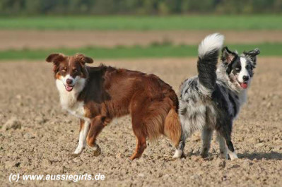 katharina_funck_schoen