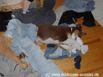 kleider_chaos_bodensee