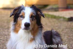 pic_daniela_wauzi_0816