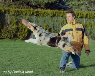 sprung5ypdanielawauzipl3